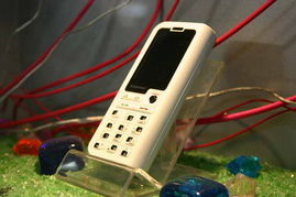 5號(hào)館聯(lián)想產(chǎn)品秀 2005年中國國際通信設(shè)備技術(shù)展的機(jī)械設(shè)備租賃亮點(diǎn)